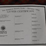 German Shepherd Female Puppy For Sale