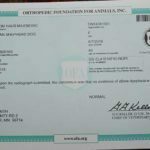 Haly SmithFarms German Shepherds Female Breeder Registration