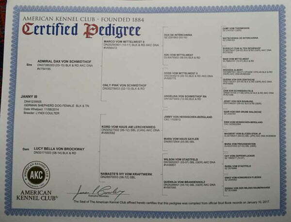 Janny Smithfarms German Shepherds Female Breeder Certification