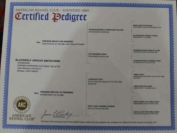 Jericho Smithfarms German Shepherds Male Breeder Certification 1