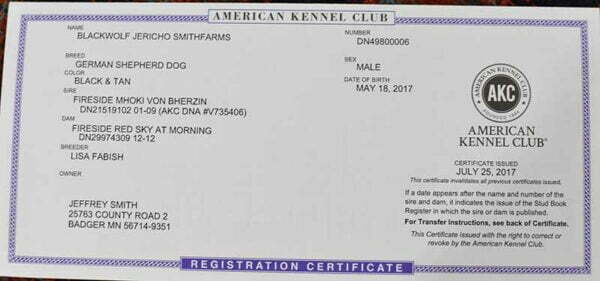 Jericho Smithfarms German Shepherds Male Breeder Certification 2