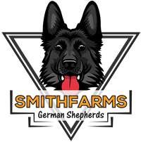 SmithFarms German Shepherd Puppies for sale