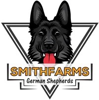 SmithFarms German Shepherd Puppies for sale